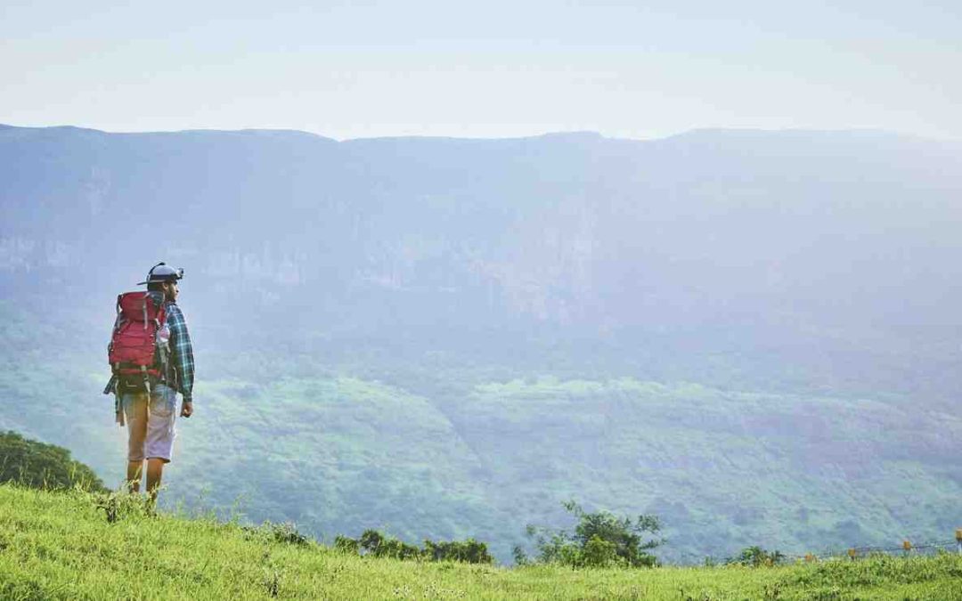 Escape the Urban Chaos: Spend a Relaxing Family Weekend at Grape County!