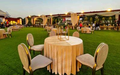 Grape County: A Symphony of Romance and Elegance