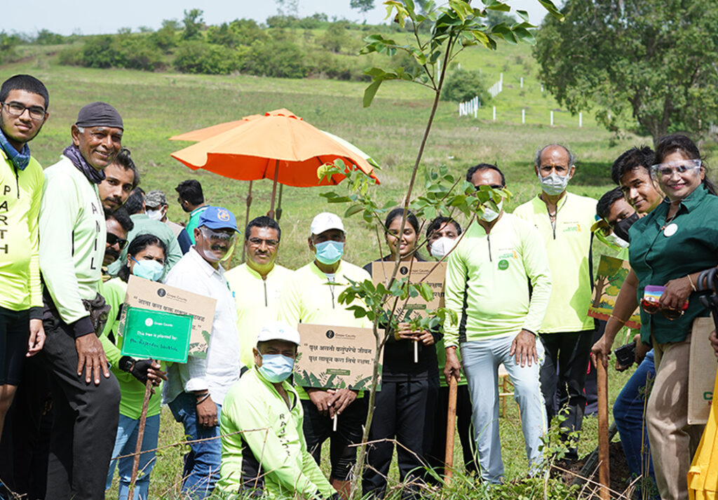adopt a tree, Grape County