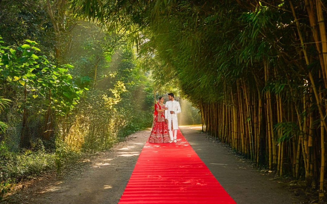 Say ‘I Do’ Amidst Nature’s Beauty”: A Forest fairytale Wedding