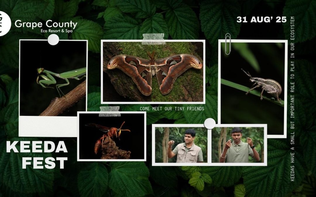 Keeda Fest 2025: Where Tiny Heroes Take the Spotlight at the Best resort in India