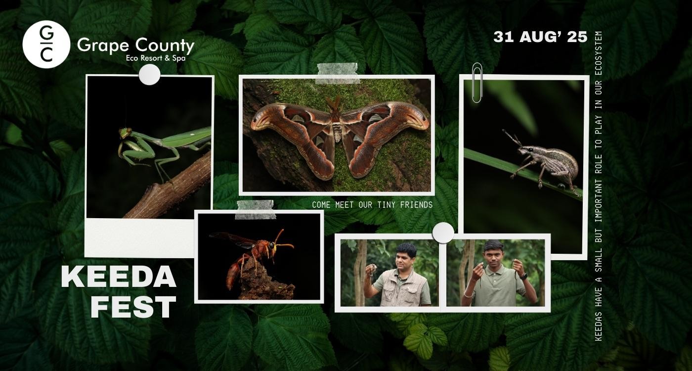 Best Resort in India